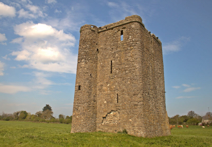 Donore Castle Ruins, Ireland